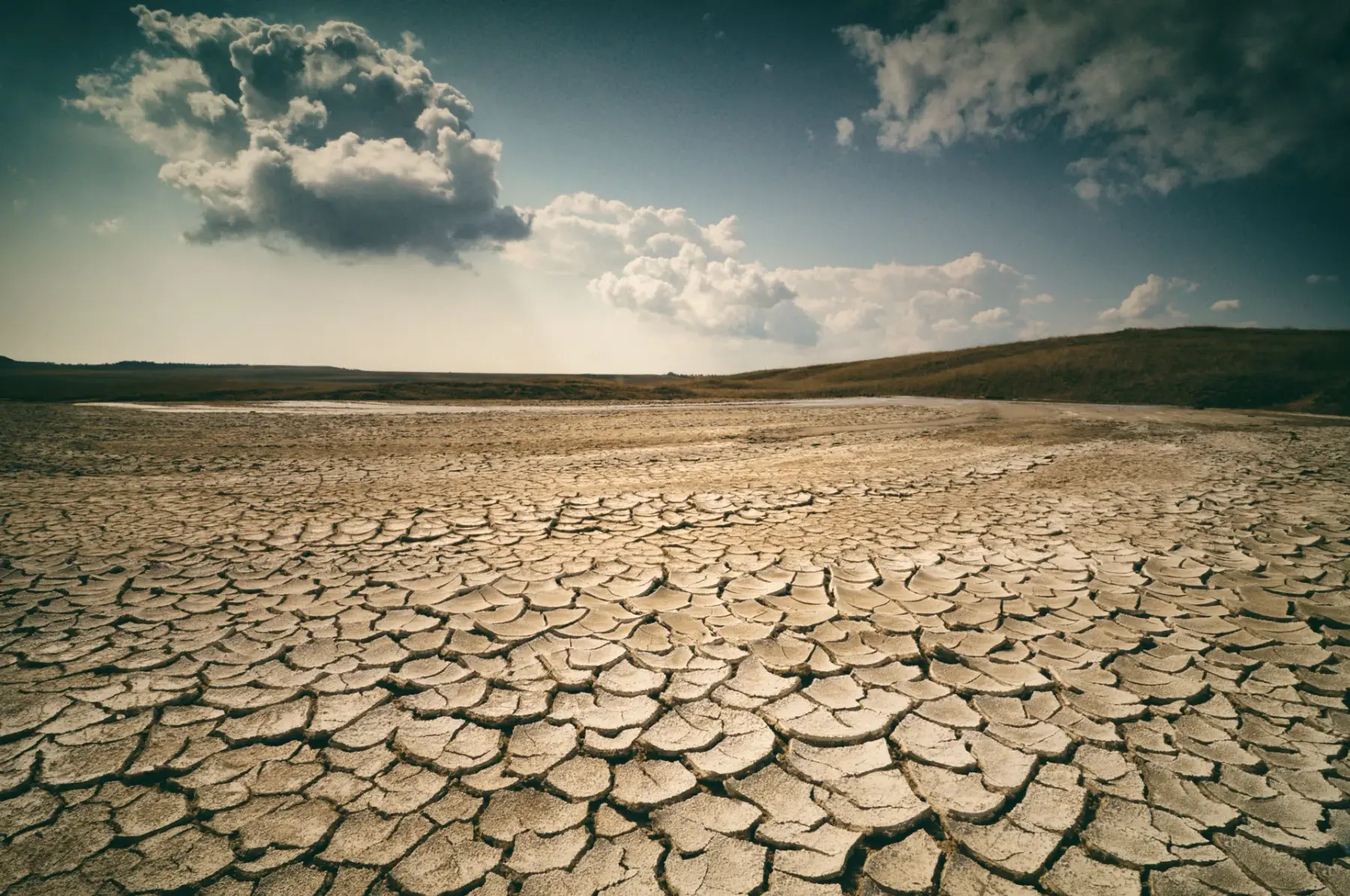 Cracked dry earth under a hard sun