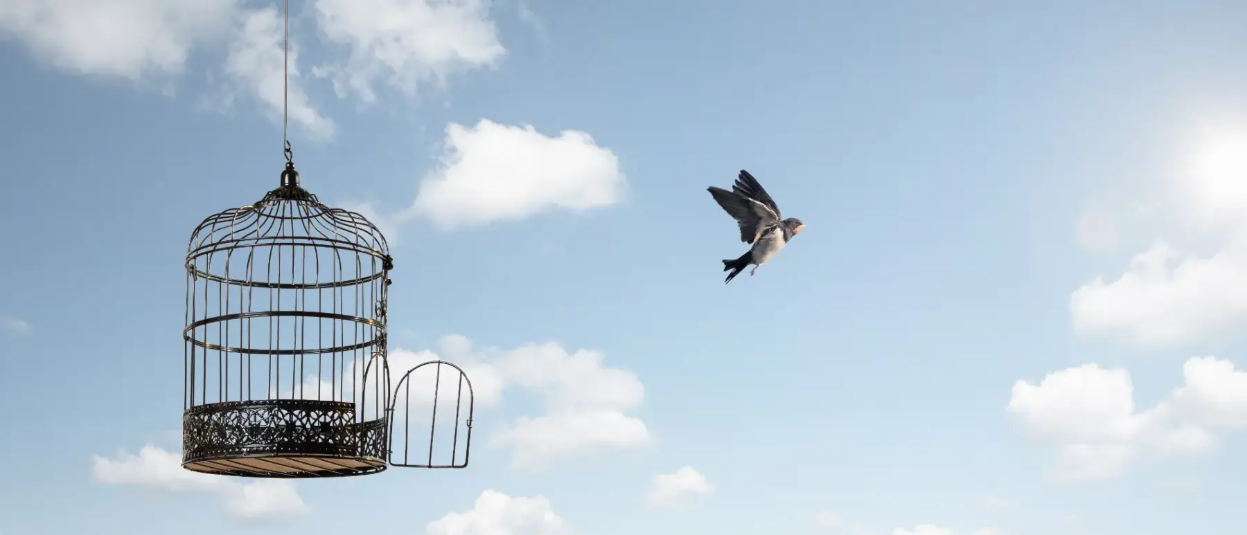 A bird leaving an open cage