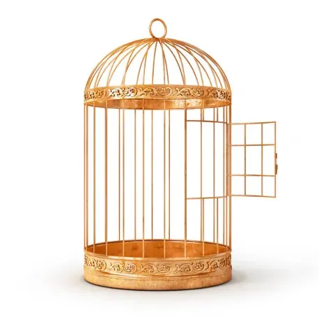 An open, empty birdcage