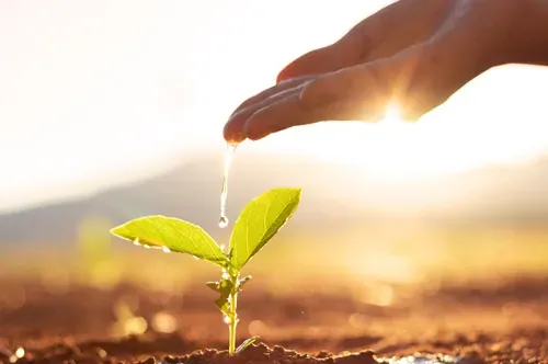 A path through an open landscape, representing sales opportunity